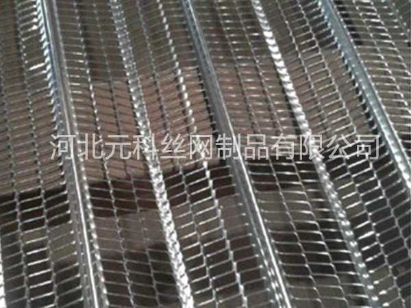 有筋擴張網(wǎng)圖片3 有筋擴張網(wǎng)圖片3