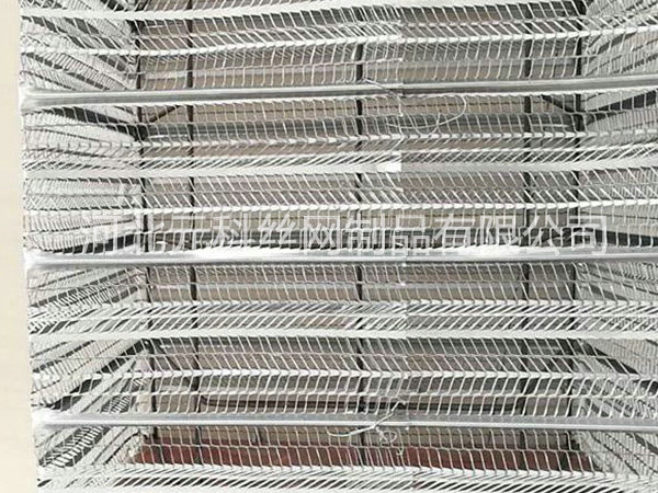 有筋擴張網(wǎng)圖片4 有筋擴張網(wǎng)圖片4